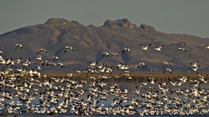 Tule Lake Basin  Anders Tomlinson