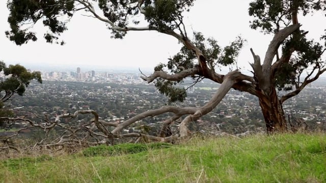 Gospel of Awesome from Spoke Magazine