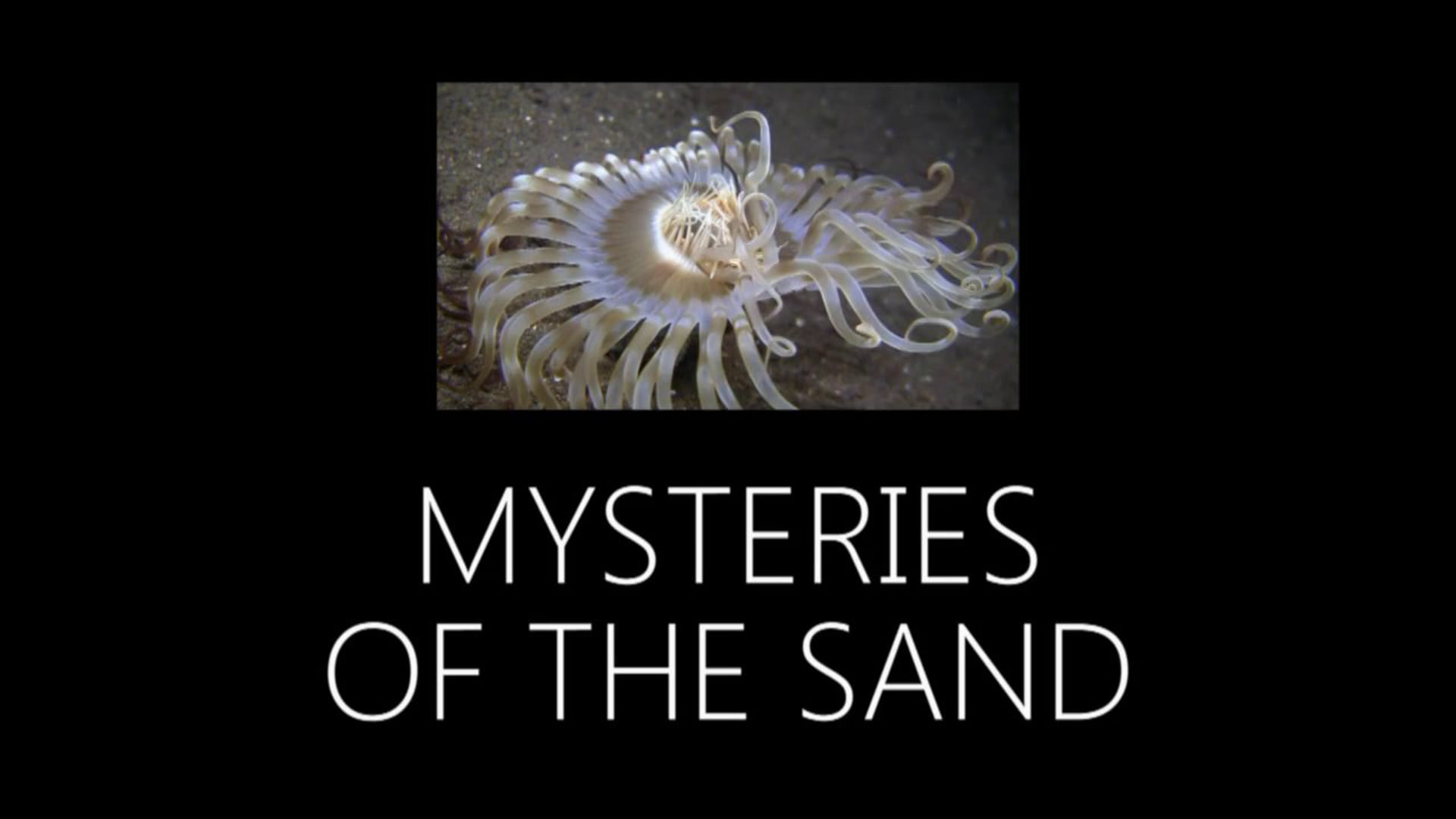 Mysteries of the Sand