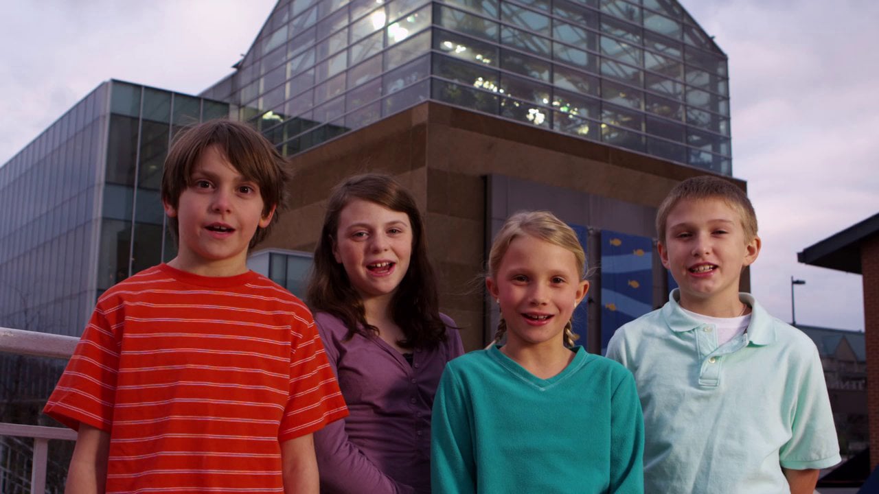 “20 Years: Kids” for Tennessee Aquarium