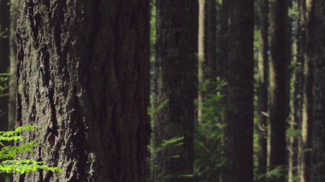 “Broers” featuring Smith Bike Athletes Tom and Bas van Steenbergen from smith optics