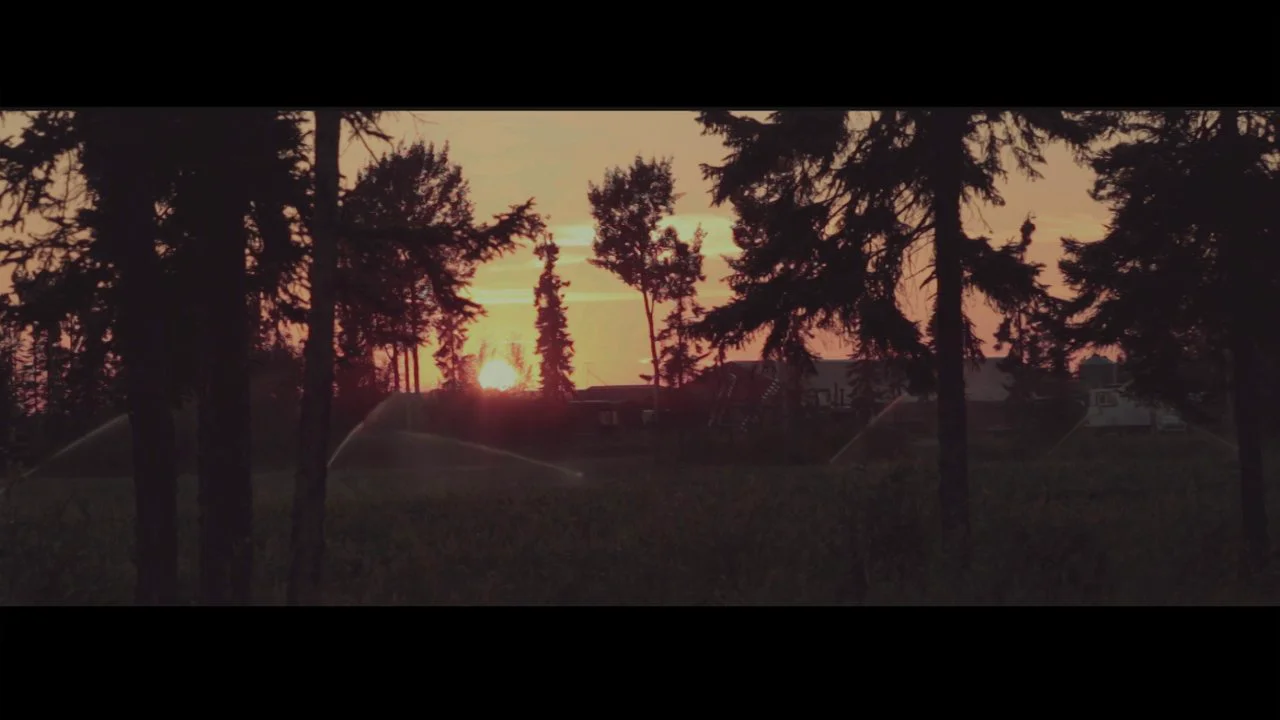 FARM FILM on Vimeo