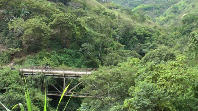Raw from Colombia / Bruts de Colombie - CEA Ep.10