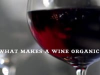 wine article What Makes a Wine Organic