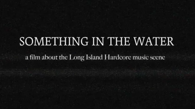 Between Resistance and Community: The Long Island Do-it-yourself Punk Scene