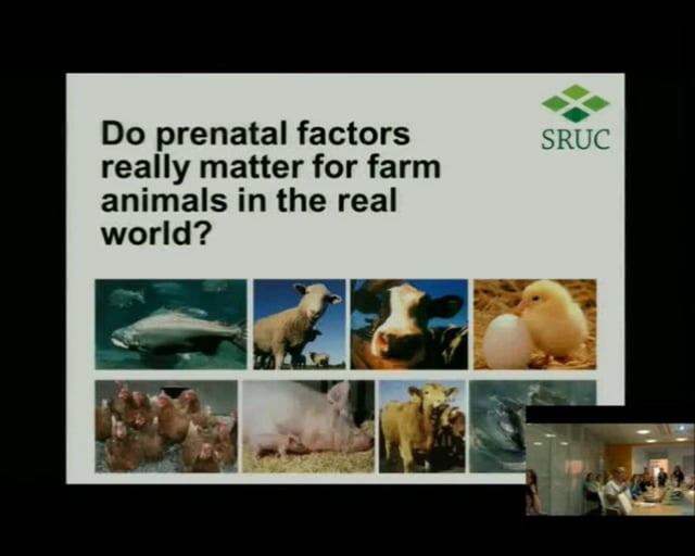 Animal behaviour & welfare | SRUC