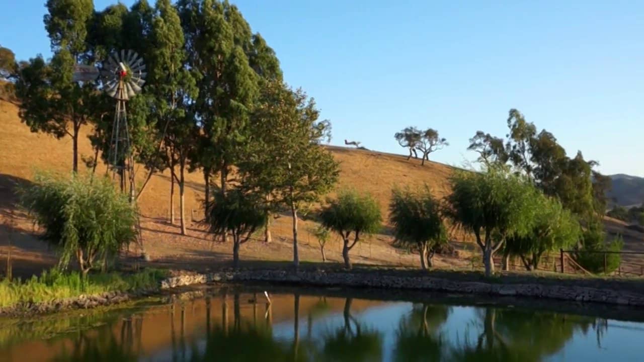 Flying Z Ranch on Vimeo