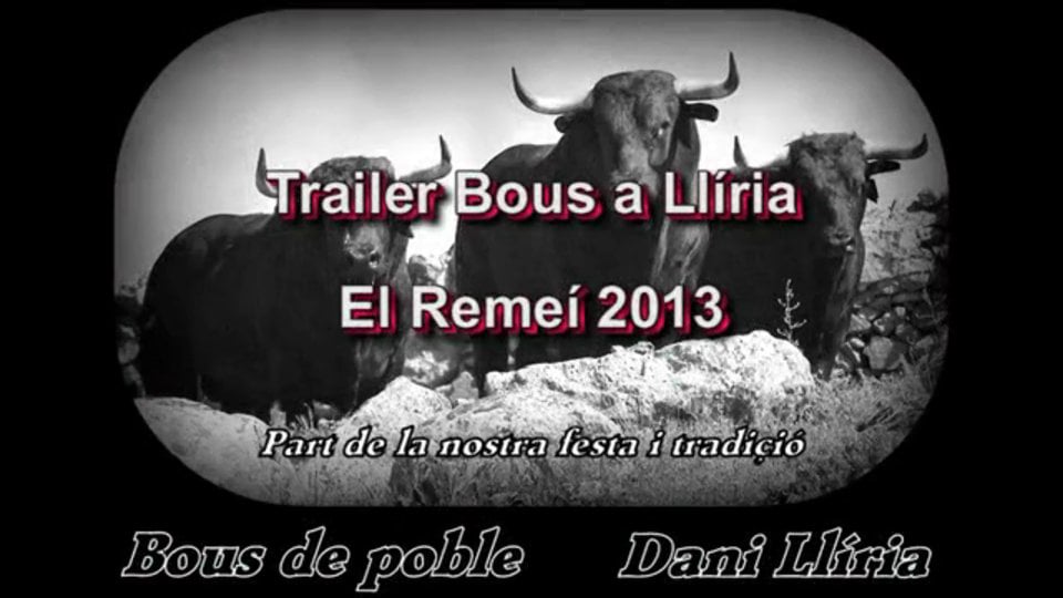bous-a-ll-ria-el-reme-2013-on-vimeo
