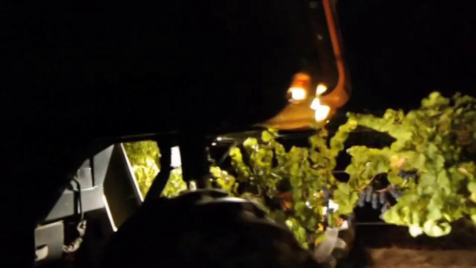 Man v. Machine 2013 Wine Spectator Video Contest Finalist on Vimeo