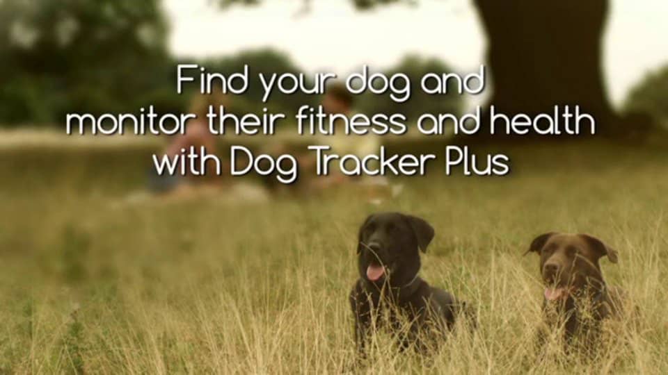 Dog Tracker Plus on Vimeo