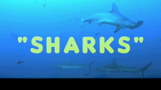 LA Font - Sharks thumbnail