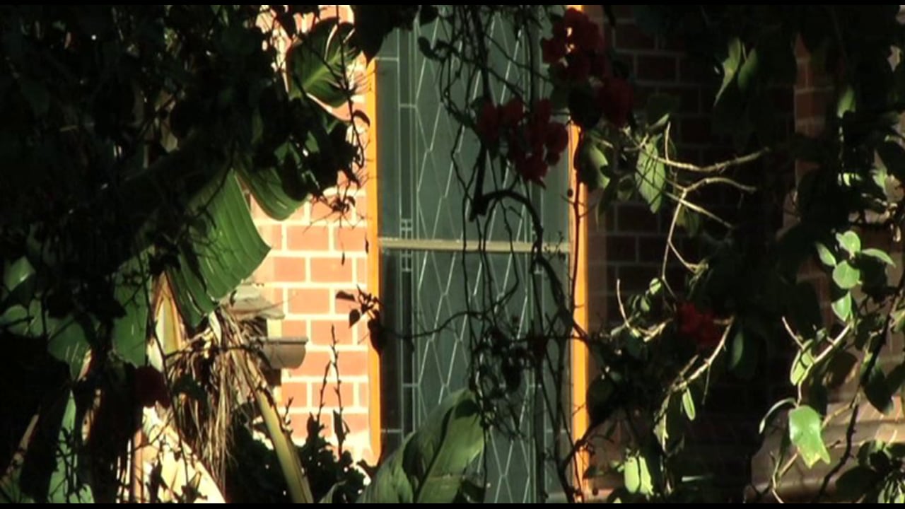 Oscar Pistorius: Granted Bail