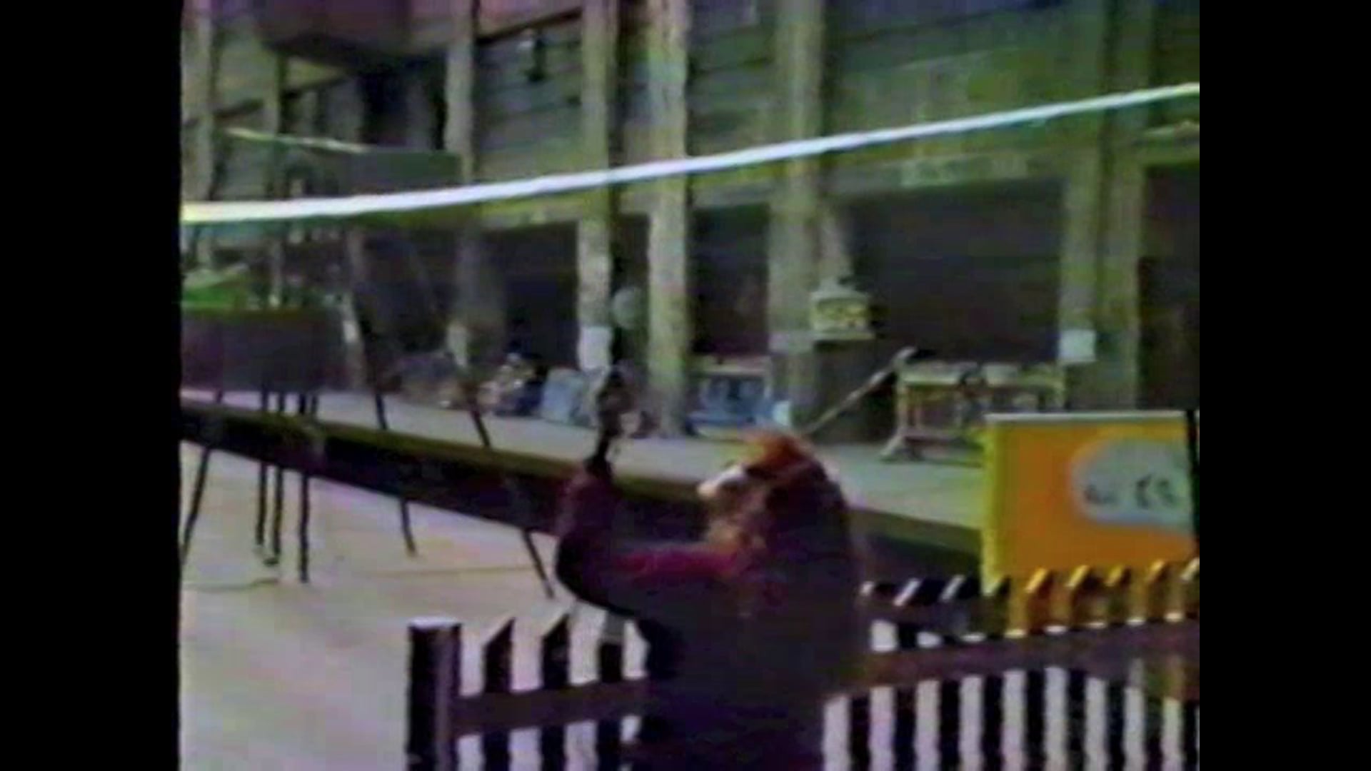 Norman Tuck - The Star System at the Brooklyn Army Terminal  1983