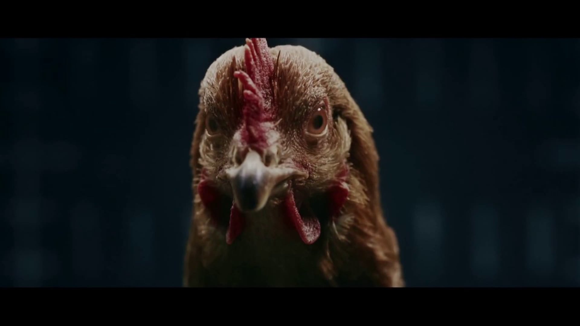 Mercedes-Benz MAGIC BODY CONTROL - Chicken