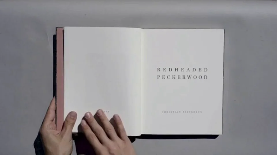 Redheaded Peckerwood (Third Edition) by Christian Patterson