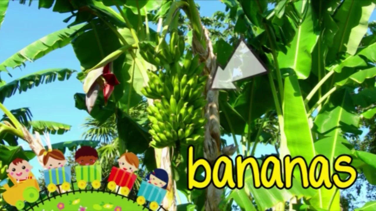Snapatoonies Eps 15 Barney Banana & his fruit friends Aus clip in ...