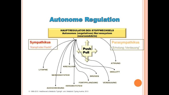 Dr. Kelley und das ANS