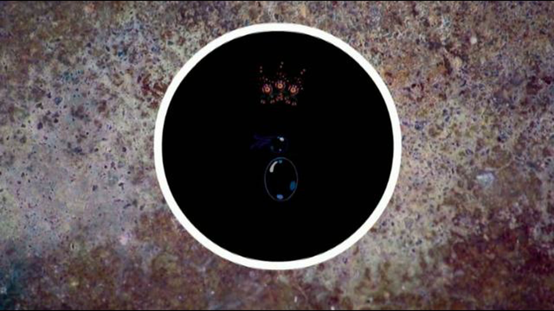 ECLIPSE
