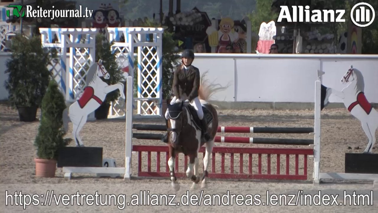 Allianz Pokal Schopfheim 2013