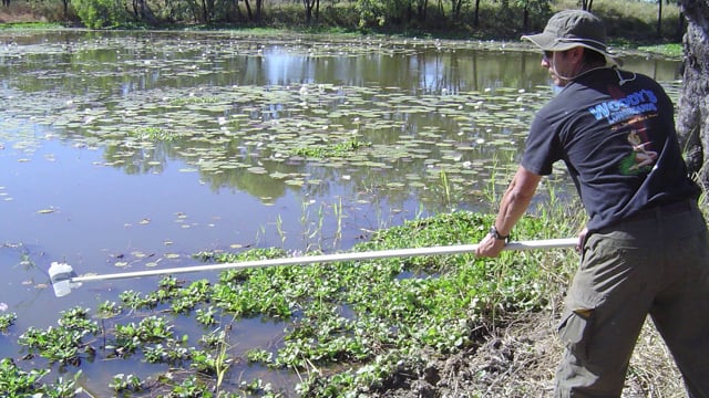 Monitoring tropical river health