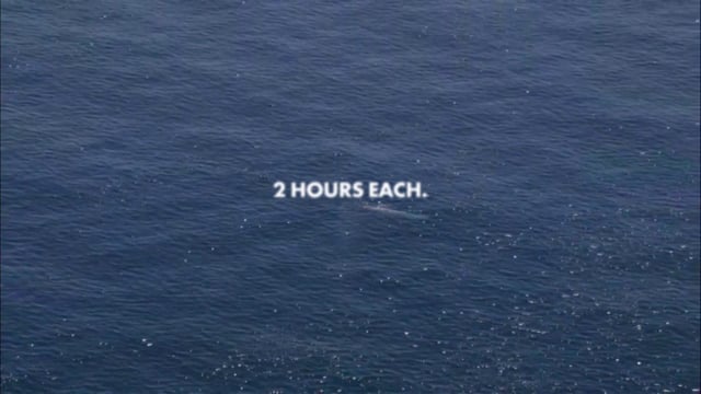 Atlantic Crossing - Enable Passion