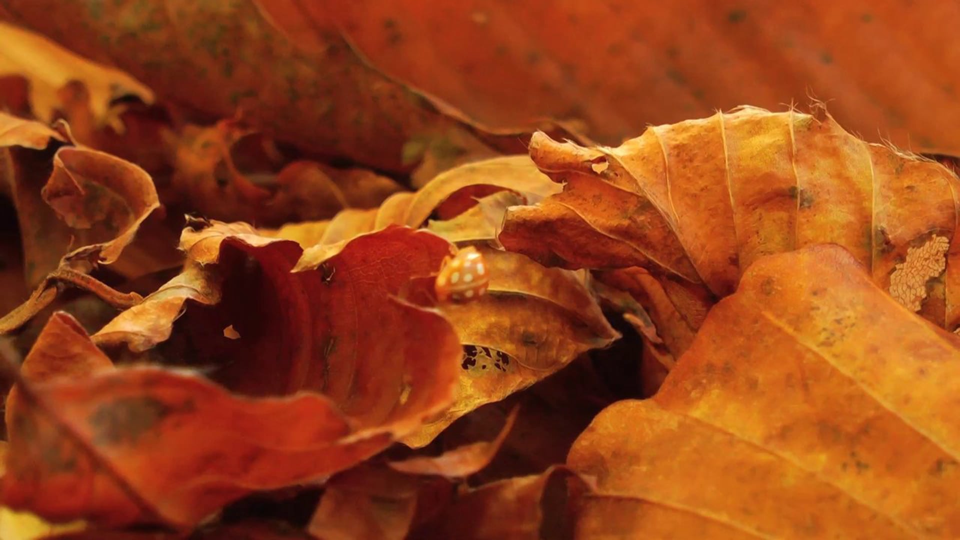 Calpesto gli angoli delle piastrelle per entrare nello spazio