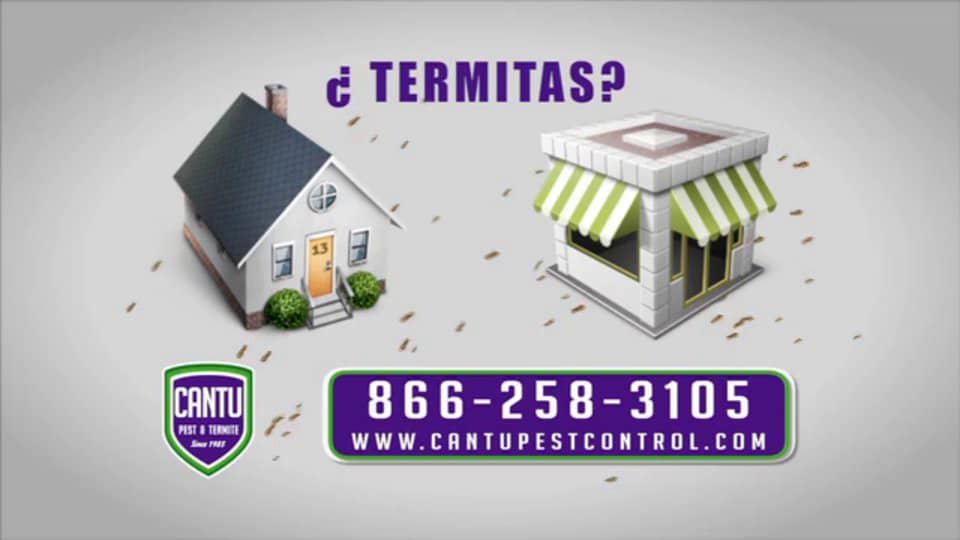 Cantu Pest Control on Vimeo