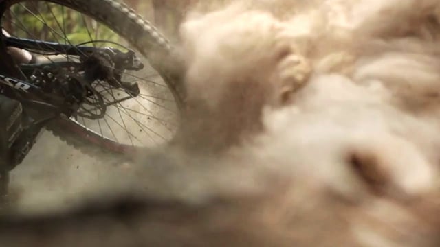 Jon Television - The Balance