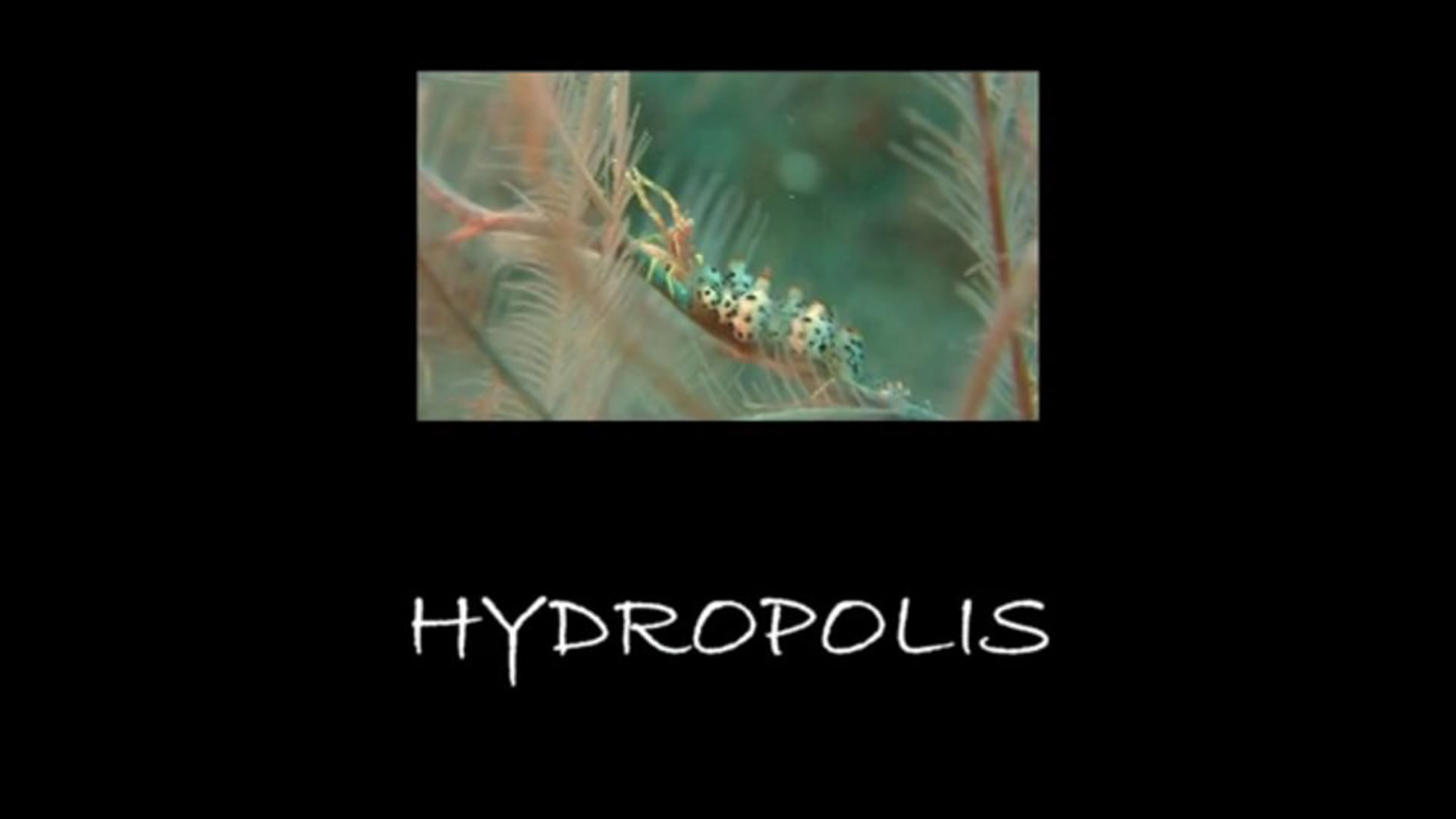 Hydropolis