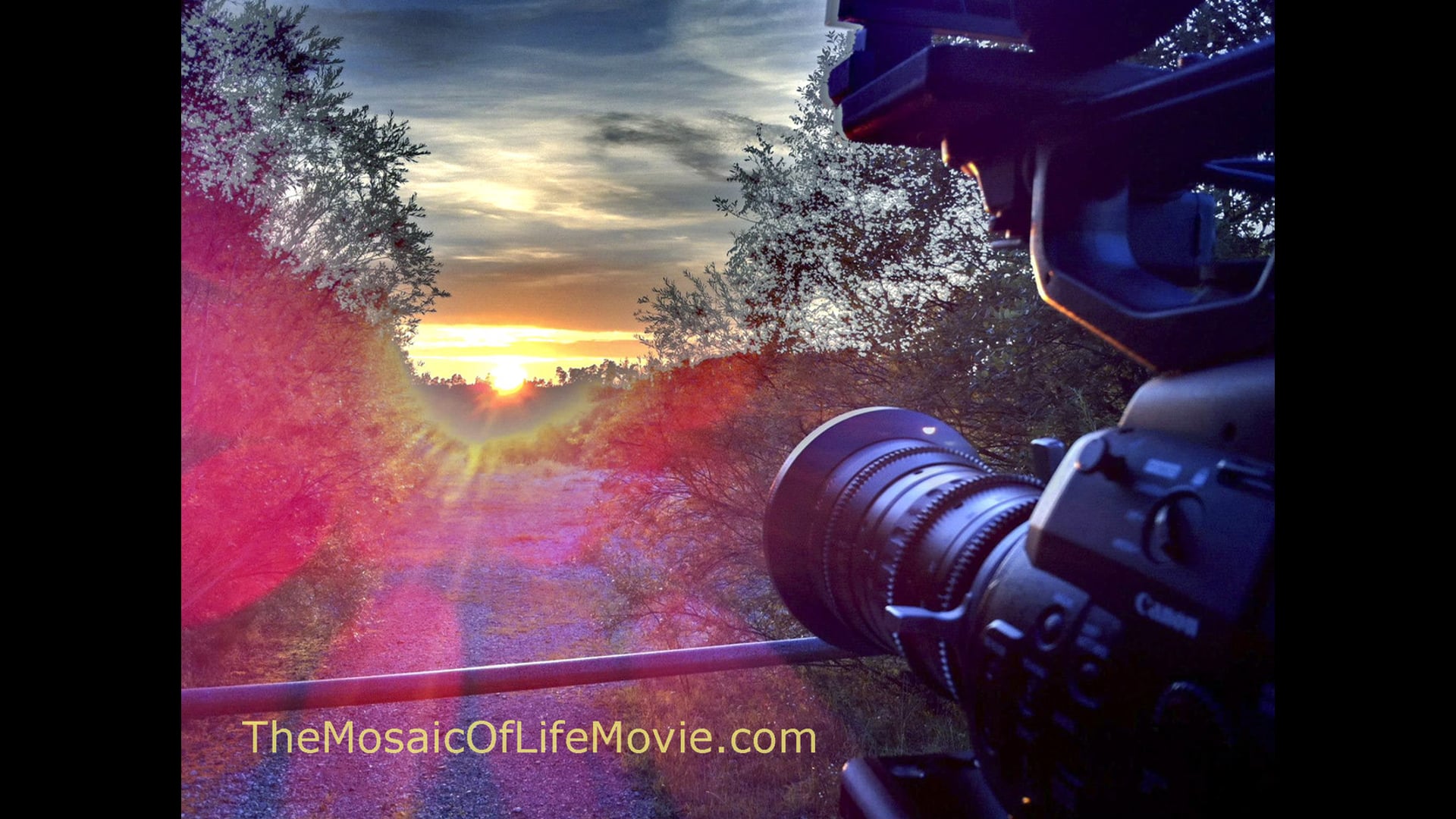 The Mosaic of Life Teaser