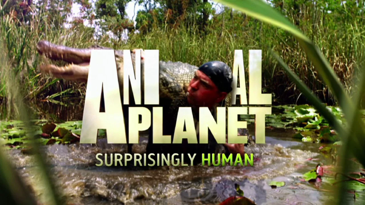 Канал animal planet. Передача анимал планет. Передача анимал планет. Передача анимал планет. Эван антин ветеринар.