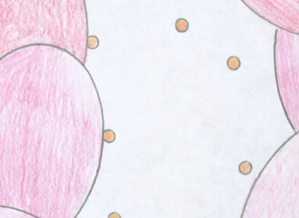 Abstract Animation on Vimeo