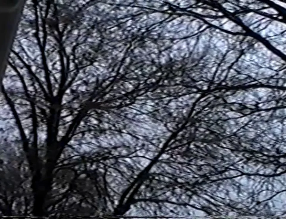 34 trip on Vimeo
