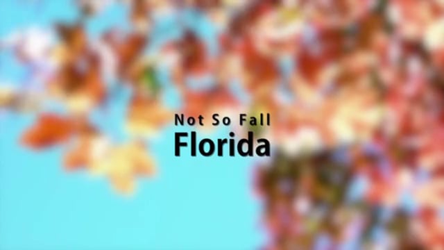 Not so fall Florida - Homecoming Premiere 2013