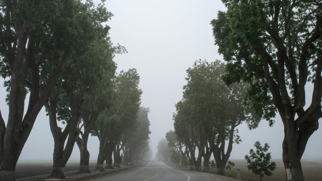 Smith Optics at Crankworx 2013 from smith optics