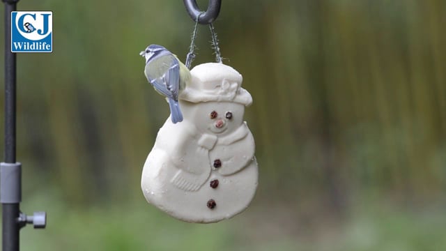 CJ Wildlife Suet Snowman