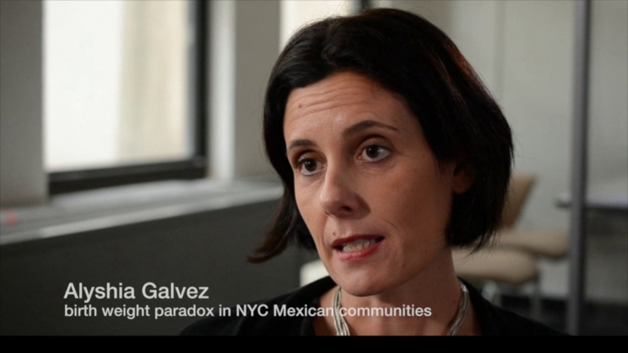 Selected cuts from Alyshia Galvez interview on Vimeo