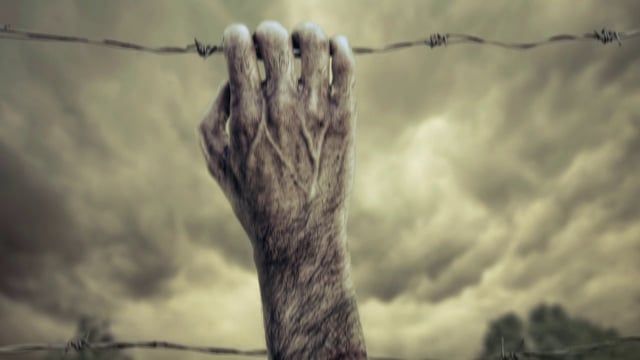 Fox International - The Walking Dead - Teaser "Holding On"