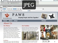Lesson 6.4 The JPEG And PNG Graphic File Formats