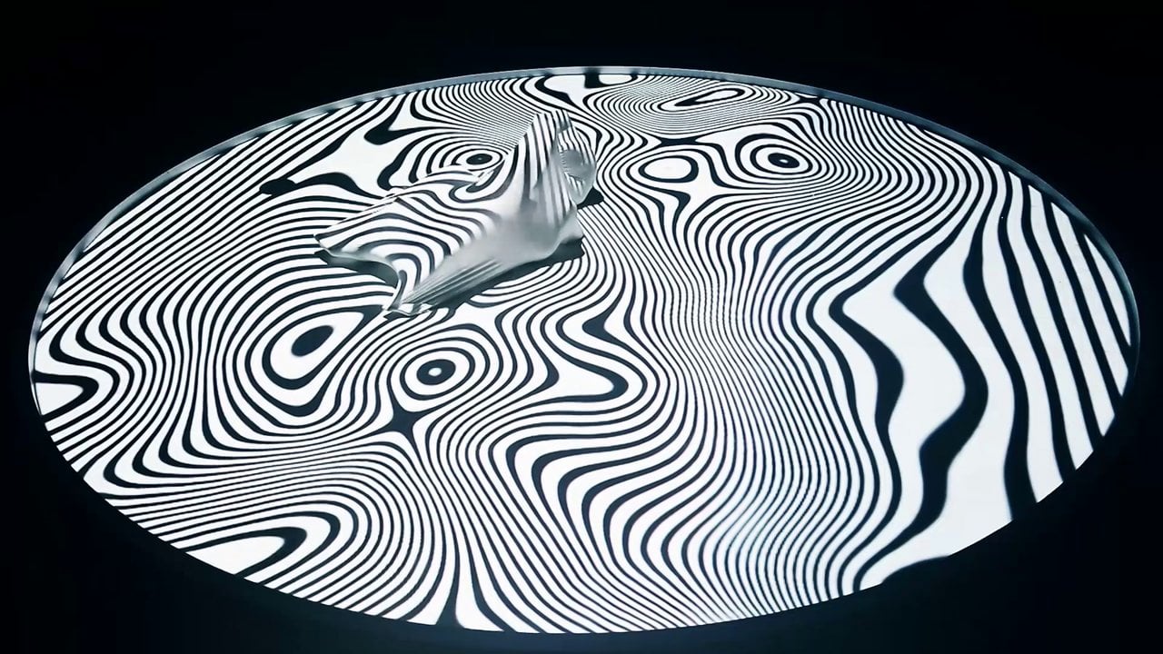 Screenshot of 染色体 C2 / Chromosome C2