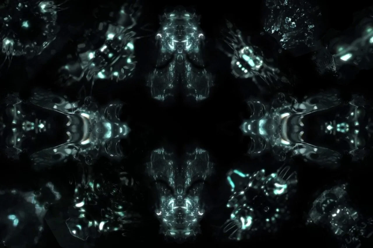 Life forms