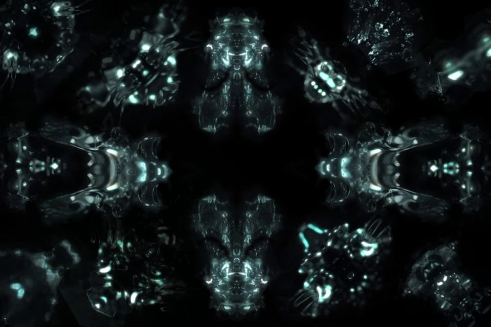 Screenshot of Life Forms - a tribute to the scientist and artist Ernst Haeckel