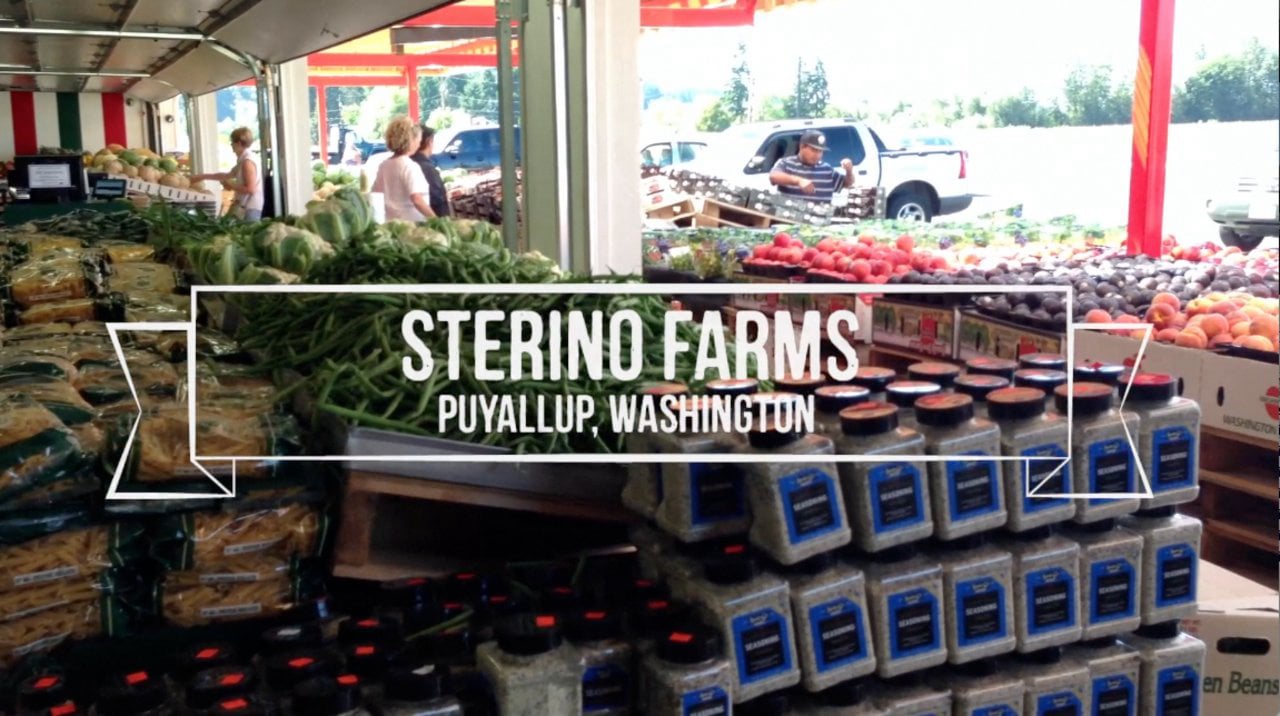 Meet Sterino Farms Puyallup, Washington on Vimeo