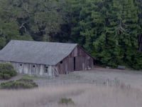 Barn Dance (2013)