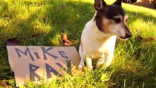 MIKE RAV SUMMER VIDEO PART 2013 from matt roberge