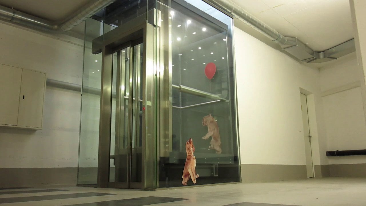 Elevator on Vimeo