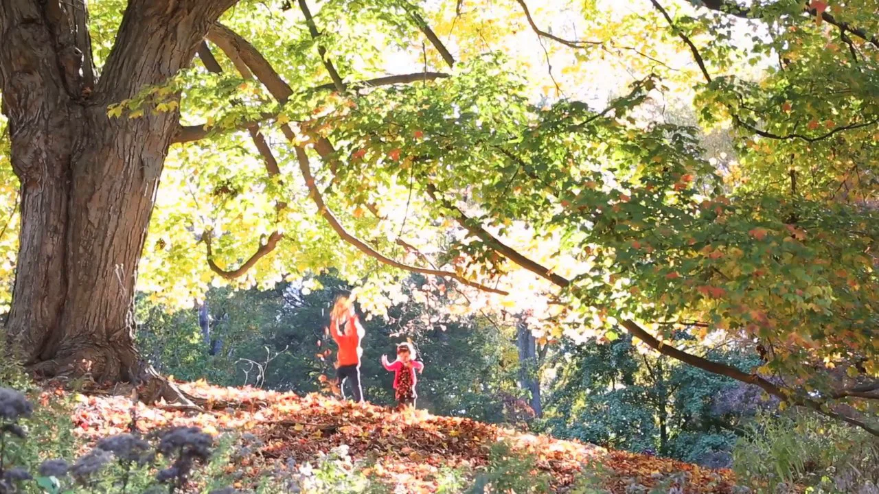 I Love Fall on Vimeo