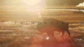 Primordial ---- Yellowstone / Grand Tetons