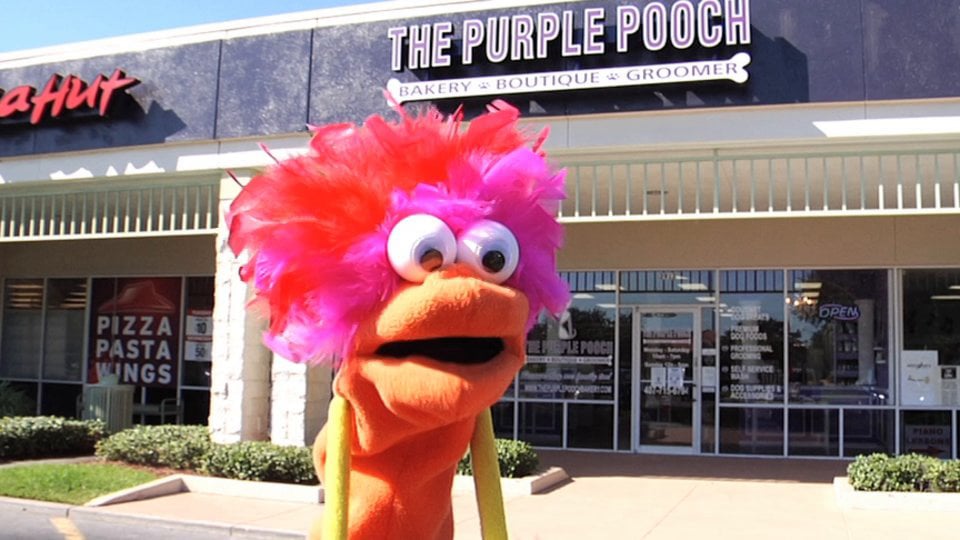 The Purple Pooch Bakery Boutique Groomer