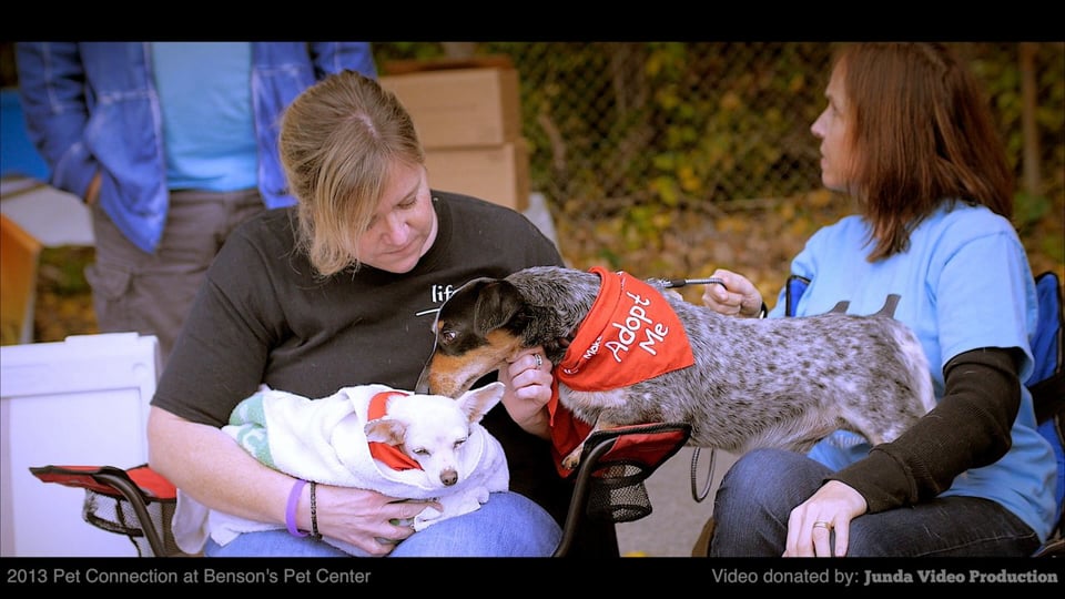 2013 Pet Connection Highlight at Benson's Pet Center